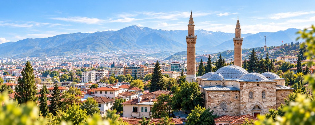 Bursa